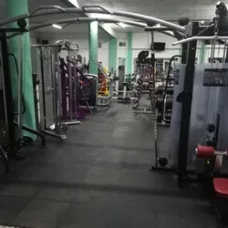 Conquer Gym Fitness Club