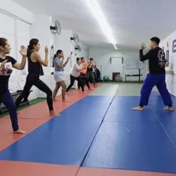 Gimnasio Cecilio Chi