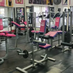 Michelle Gym