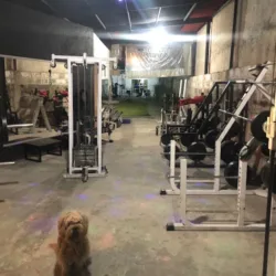 Iron Gym