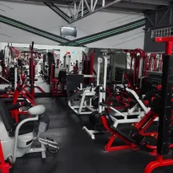 Spider Gym #3