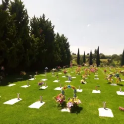 Funeraria y Panteón Los Ángeles Ixtapaluca ( Pto de Vta Plaza Cortijo )