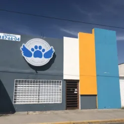Crematorio Huellitas Con Alas
