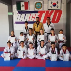 DARCE TAEKWONDO