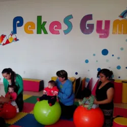 Pekes Gym