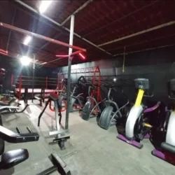 Xtreme Fitness