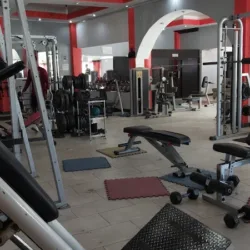 The One Fitness