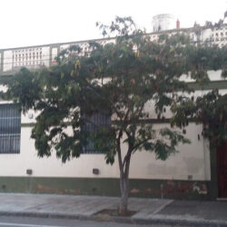 Colegio Nuestra Señora de la Misericordia