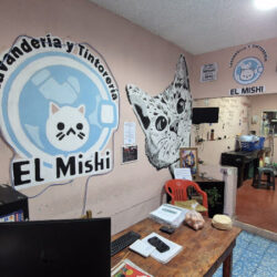 LAVANDERIA, TINTORERIA Y PLANCHADURIA "EL MISHI"