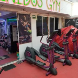 NEW BODY GYM
