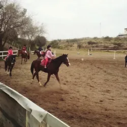 Escuela de Equitación ROG