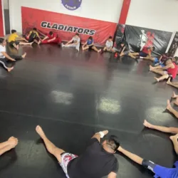 MMA GLADIATORS