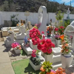 PARQUE FUNERAL JARDINES DEL RECUERDO
