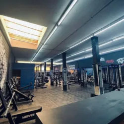 Gorillaz GYM