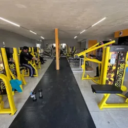 MONKEY GYM 5 DE MAYO