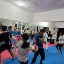 Organización Maya Karate Do