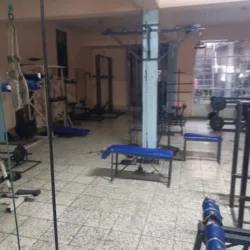 Gimnasio York