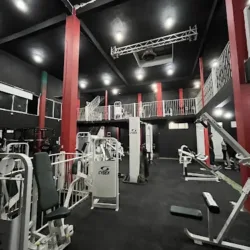 Ulfixgym el salado