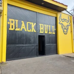 BLACK BULL ELITE FITNESS
