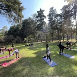 Yun Yoga (Levita Studio)