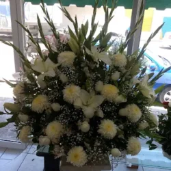 FLORERÍA FLOR DE MAYO