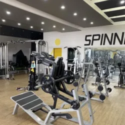 City Gym
