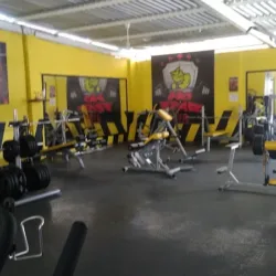 NO FEAR GYM