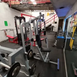 Animal Gym