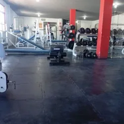 GIMNASIO
