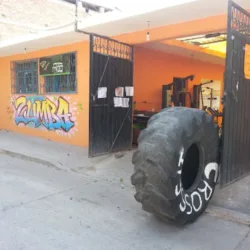 Mastache's Gym