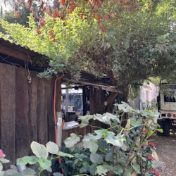 Lavandería Michoacán