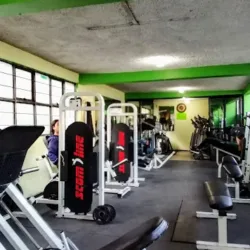 BodyPerfect GYM