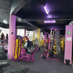 Pegasus Gym