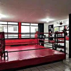 Rykers BMA Mexico