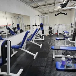 Power Gym Nogales