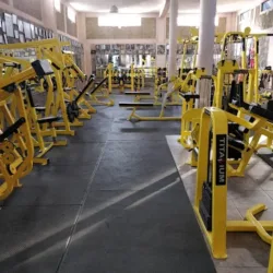 Master Gym