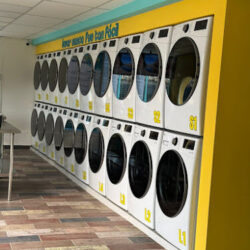 Lemon Laundry Tamulte