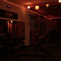Shinobi Movement GYM