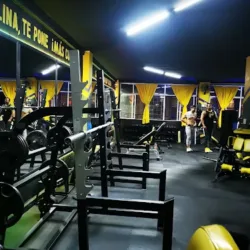 Fit Factory Gym