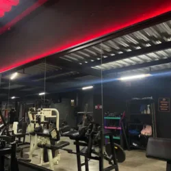 Pro Gym World Fitness