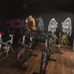 Monkey GYM