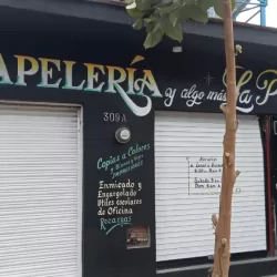 Papeleria LA PALMA
