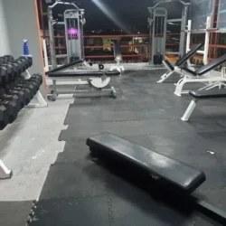 Evolution Gym