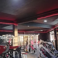 Gym Ab ATHLETIC BULKING