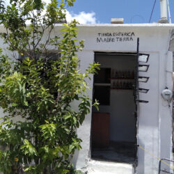 Tienda esotérica madre tierra