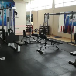Gym Fitnes