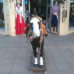 Tienda La Española