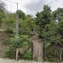 La quinta