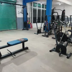 Dragon's GYM