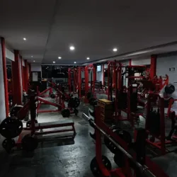Mr. Wolf Gym